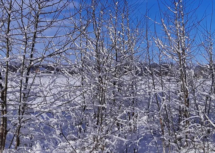 Διαμέρισμα Helgas 4 Sterne